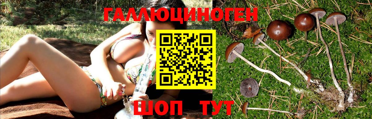 закладки  Галлюциногенные грибы мицелий  Вход с VPN  Ессентуки 